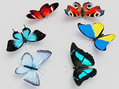 superfine butterfly model collection superfine model butterfly fine model insect butterfly moth 3d model