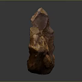 Conch fossil bone snail field snail shellfish marine animal wildlife animal 3d model