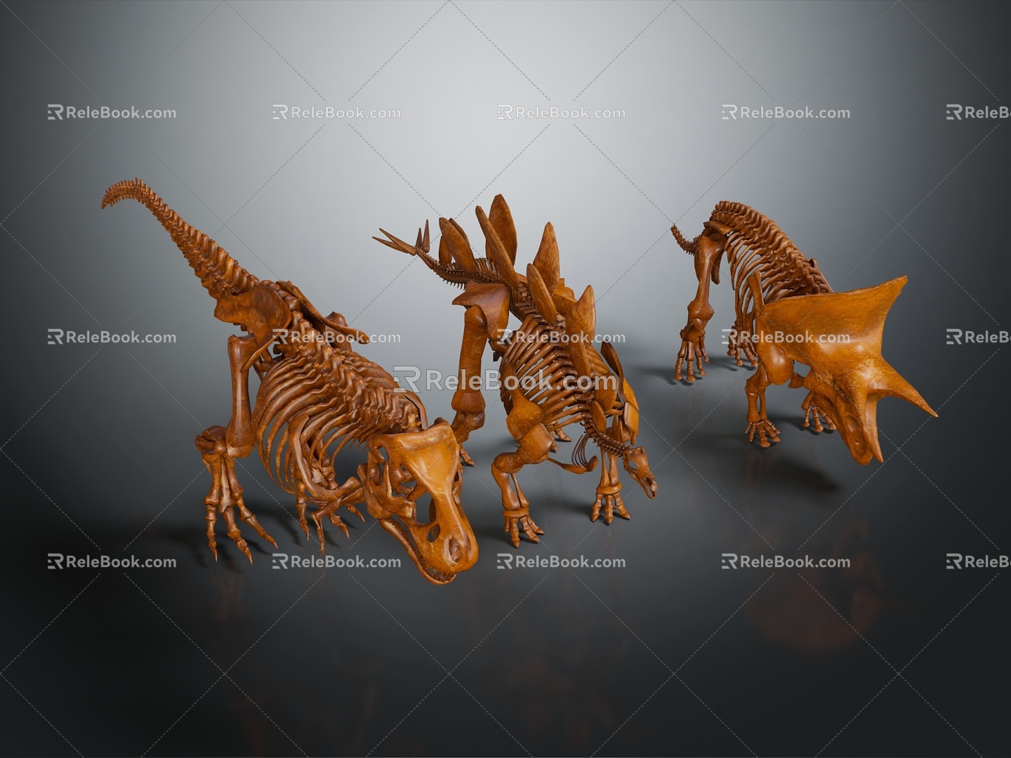 Modern skeleton dinosaur dinosaur skeleton dinosaur fossil 3d model