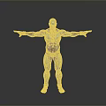 Blue Humanoid Robot With Mechanical Structure Open Arms And Detailed Metallic Body