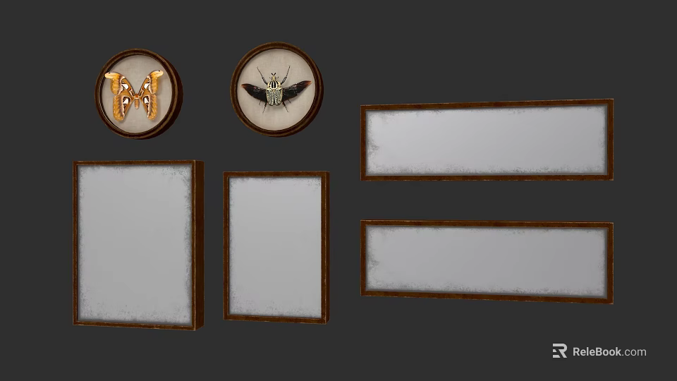 Animal Paintings In Decorative Wooden Frames With Circular And Rectangular Shapes 3d model