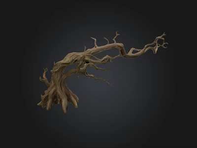 Decorative Dry Tree Branch With Natural Twisted Shape And Sculptural Design 3d model