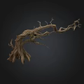 Decorative Dry Tree Branch With Natural Twisted Shape And Sculptural Design 3d model