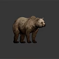 Standing 3D Bear Figurine With Detailed Fur Texture On Gray Background