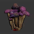 Fresh Purple and Dark Purple Mushrooms in Wooden Basket with Red Berries