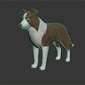 Brown and white dog standing on dark background with visible reflection on surface 3d model