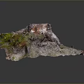 Detailed Natural Tree Stump Featuring Exposed Roots And Moss Covered Rough Surface