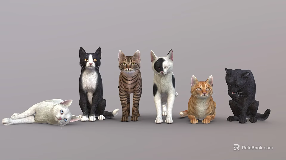 Colorful Reptiles In Various Poses Showcasing Diverse Species And Natural Features 3d model 