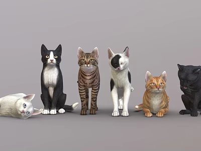 Colorful Reptiles In Various Poses Showcasing Diverse Species And Natural Features 3d model