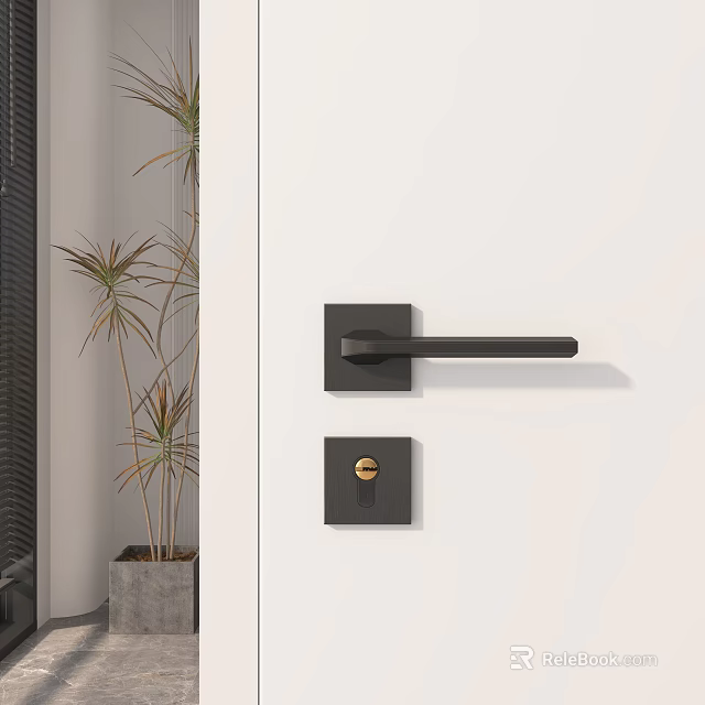Modern Black Door Handle With Gold Lock Knob And Green Plant Nearby 3d model 