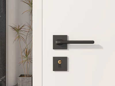 Modern Black Door Handle With Gold Lock Knob And Green Plant Nearby 3d model