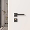 Modern Black Door Handle With Gold Lock Knob And Green Plant Nearby