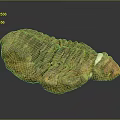 Rustic Wood And Stone Decorative Piece With Natural Brown Yellow Texture And Surface Details