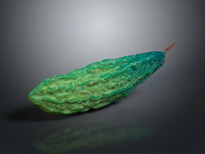 Fresh Green Bitter Melon With Rough Surface On Dark Background 3d model
