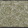 Green Grass Field With Dry Leaves And Scattered Stones In Natural Setting