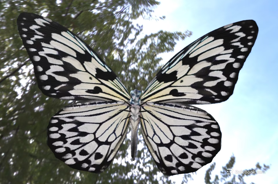Black and White Butterfly With Open Wings Flying Near Tree Branches in Blue Sky 3d model 