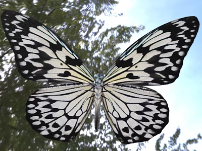 Black and White Butterfly With Open Wings Flying Near Tree Branches in Blue Sky 3d model