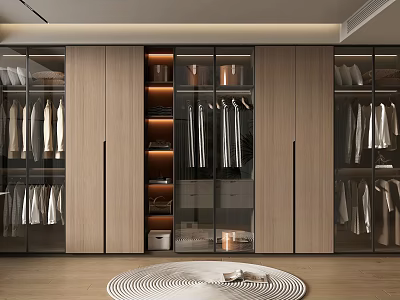 Modern Wardrobe Interior Design With Glass Doors Hanging Clothes And Wooden Panels 3d model