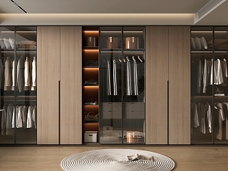 Home wardrobe 3d model