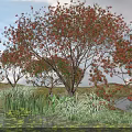 Red Leaved Arbor With Water Pond And Aquatic Plants In Grassland