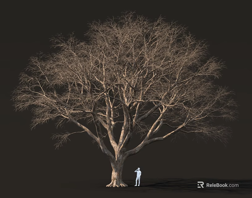 Large Leafless Tree With Massive Trunk And Person Standing Under Dark Background 3d model 