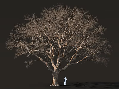 Large Leafless Tree With Massive Trunk And Person Standing Under Dark Background 3d model