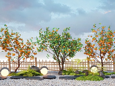 Persimmon Tree Orange Tree Orange Tree Courtyard Fruit Tree Pomegranate Tree Tingbu Terrain 3d model