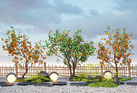 Persimmon Tree Orange Tree Orange Tree Courtyard Fruit Tree Pomegranate Tree Tingbu Terrain 3d model