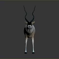 Oryx With White Body Black Head And Long Turquoise Horns On Gray Background