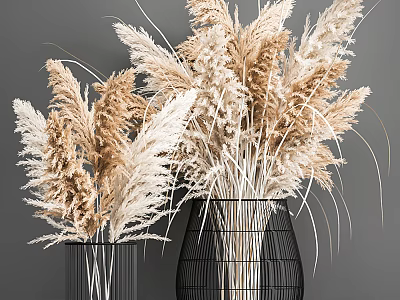 Black Wire Mesh Vases With Light Brown And White Dried Flowers On Gray Background 3d model