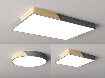 Nordic ceiling lamp 3d model