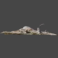 Dead Deer With Large Antlers Lying On Ground With Grass And Dirt