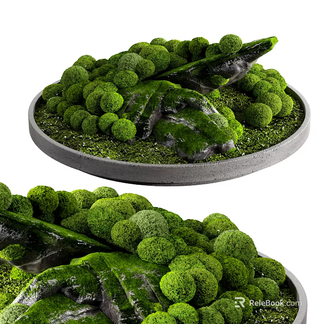 Bonsai Potted Plant with Green Moss Stones and Rounded Foliage in Circular Container 3d model 