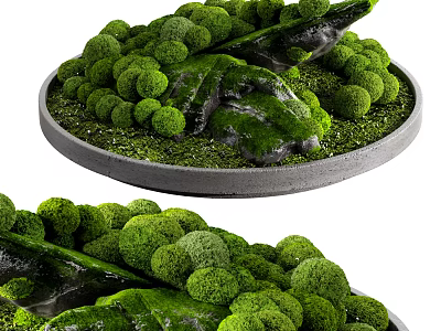 Bonsai Potted Plant with Green Moss Stones and Rounded Foliage in Circular Container 3d model