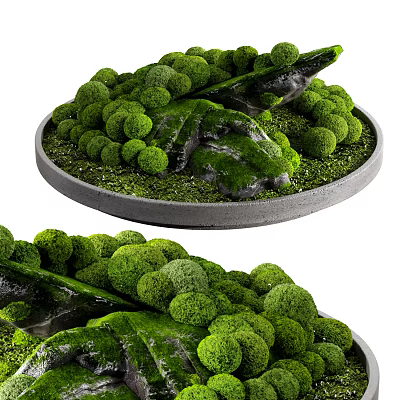Bonsai Potted Plant with Green Moss Stones and Rounded Foliage in Circular Container 3d model