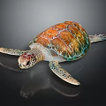 Vibrant Colorful Sea Turtle With Intricate Shell On Reflective Black Surface