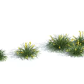 Green Grass With Yellow Flowers Growing In Clusters On Blue Background