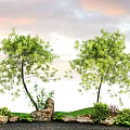 Stunning Plant Combination with Two Trees Green Shrubs Decorative Stones and Lawn Against Sunset Sky