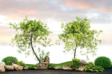 arbor, landscape, tree, courtyard, tree, shrub, stone, micro-topography 3d model