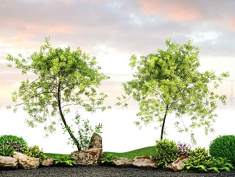 arbor, landscape, tree, courtyard, tree, shrub, stone, micro-topography 3d model