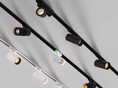 Modern Track Downlights And Spotlights With Black White Design For Indoor Home Lighting 3d model
