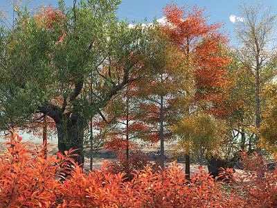 Scenic Arbor Trees With Green Red Orange Leaves Under Clear Blue Sky 3d model