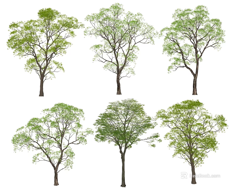 Arbor Trees In Various Forms With Green Leaves Isolated On White Background 3d model