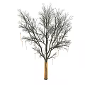 Leafless Tree With Decorative Ornaments Hanging On Branches Against White Background 3d model
