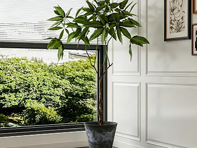 Lush Green Potted Plant By Window With White Wall And Outdoor Trees 3d model