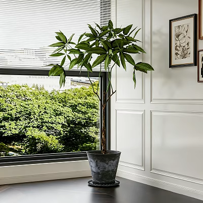 Lush Green Potted Plant By Window With White Wall And Outdoor Trees 3d model