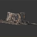 Natural Weathered Tree Stump Decorative Piece With Bark Texture And Earth Tones
