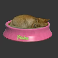Cat Resting In Pink Bowl With Pinku Text On Reflective Surface
