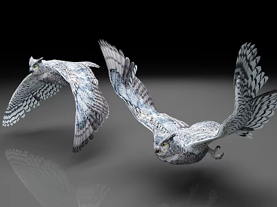 Flying Owls With Black And White Patterned Feathers On Dark Background With Reflections 3d model