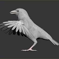 White Pigeon With Spread Wings Standing On Black Reflective Surface And Gray Gradient Background 3d model